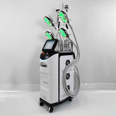 เครื่องหน้าท้อง CE Cryolipolysis, เครื่องสลายไขมัน Cryolipolysis ไขมัน